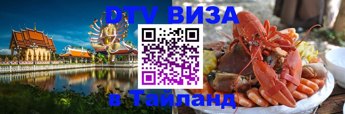 Сколько стоит DTV виза — актуальные цены, оформление даже без документов - Архангельск  10.01.2026 